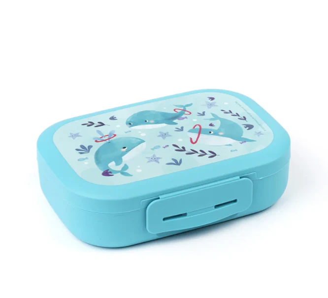 Super Cute Clip Lunchbox - 4 options! - Image 4